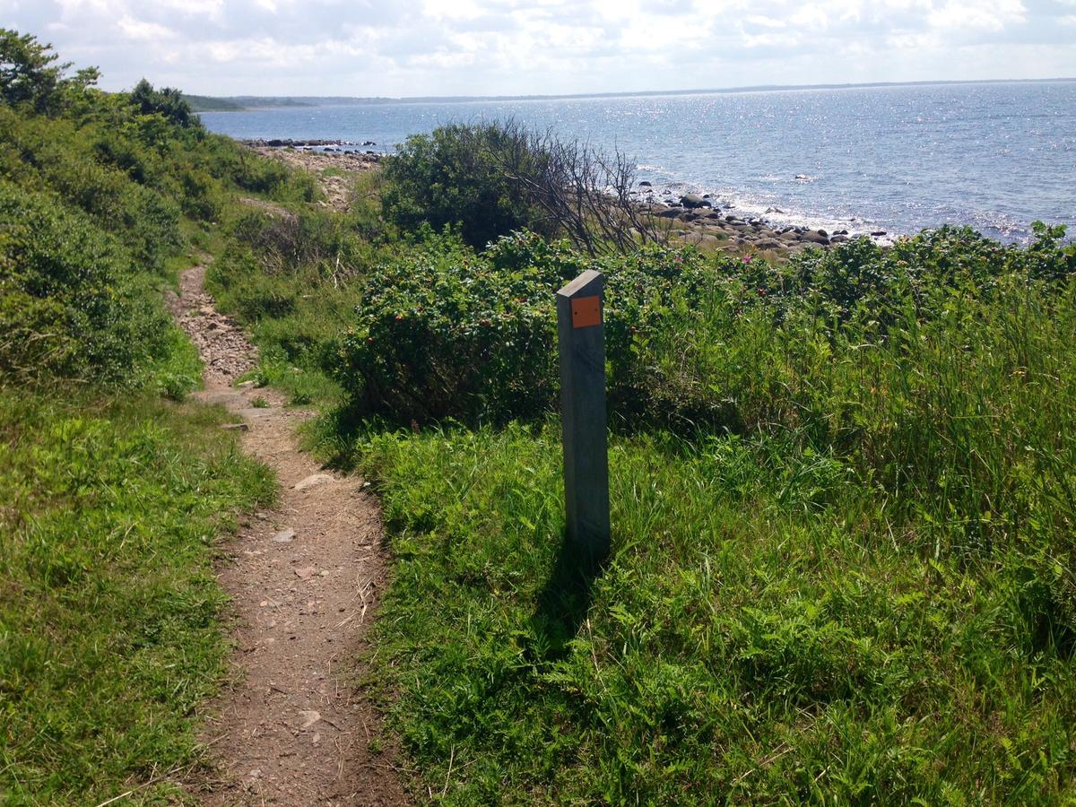 Vejbystrands Vandrarhem Buitenkant foto